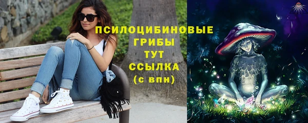 синтетический гашиш Каменск-Шахтинский