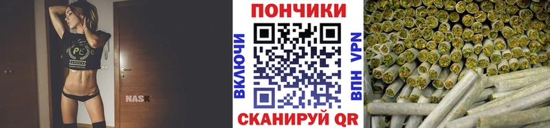 Шишки марихуана гибрид  купить   Тимашёвск 